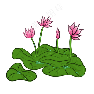 中国风手绘荷花PNG素材