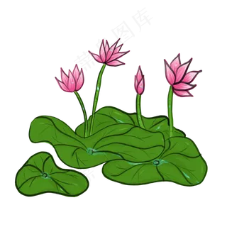 中国风手绘荷花PNG素材