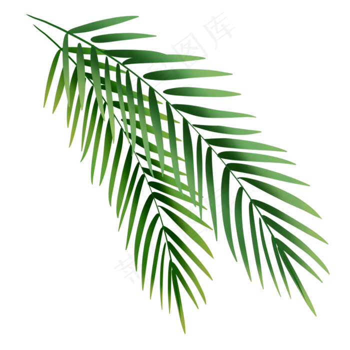 夏日元素芭蕉叶,免抠元素