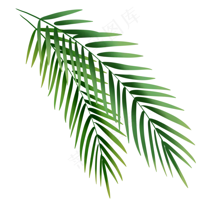 夏日元素芭蕉叶,免抠元素