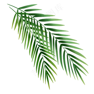 夏日元素芭蕉叶,免抠元素