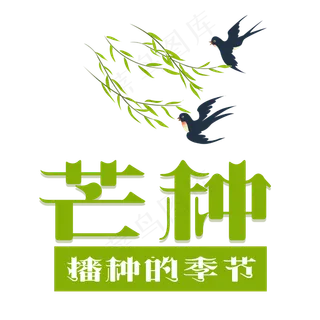 芒种字体设计 芒种字体设计