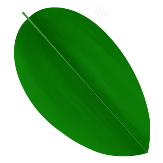 端午节粽子粽叶