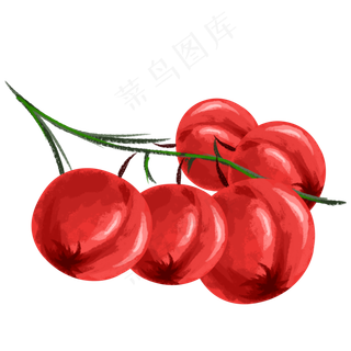 红果水果味道大自然