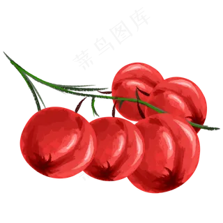 红果水果味道大自然