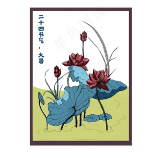 荷花莲花夏日大暑小暑节气