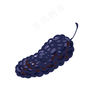 夏季清新水果桑葚