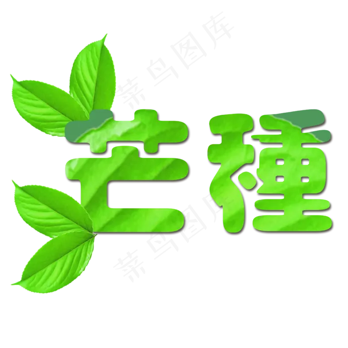 绿色植物叶片设计芒种艺术字(2500X2500(DPI:300))psd模版下载
