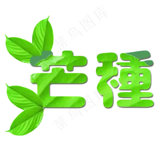 绿色植物叶片设计芒种艺术字