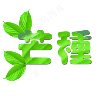 绿色植物叶片设计芒种艺术字