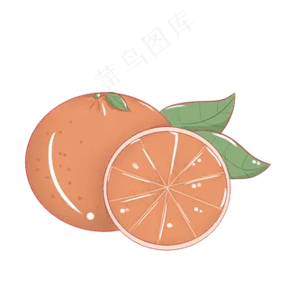 橘色桔子维生素