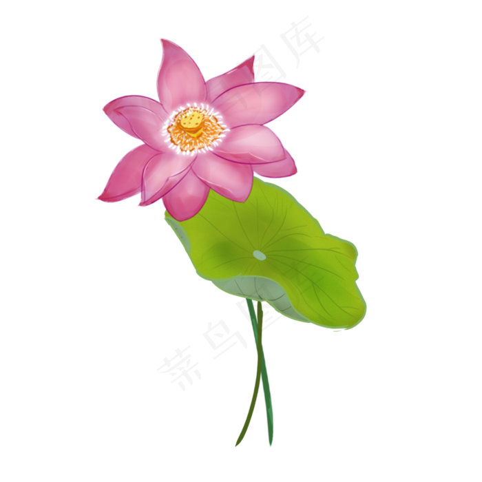 手绘荷叶荷花免扣元素(2000X2000(DPI:300))psd模版下载