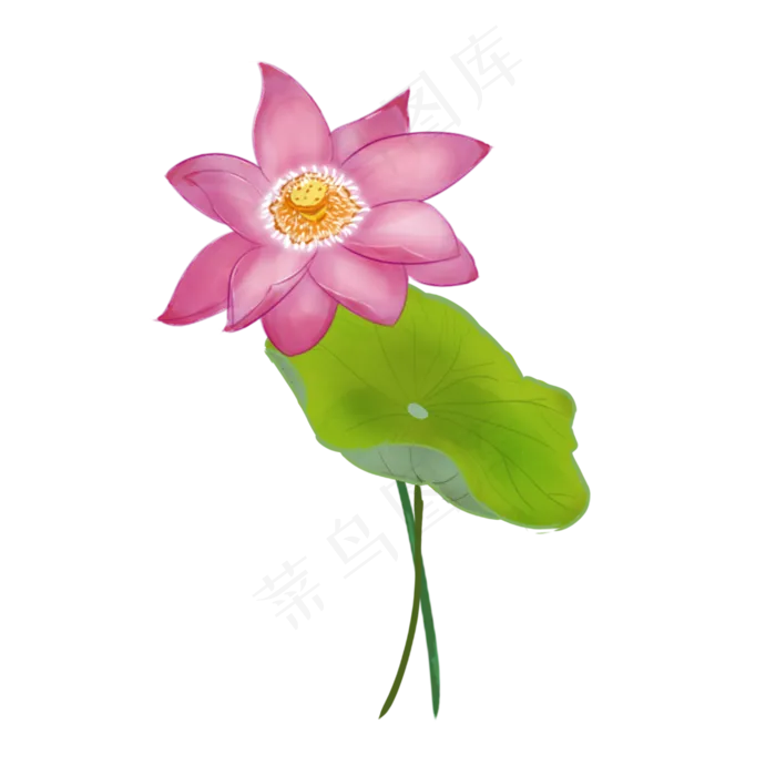 手绘荷叶荷花免扣元素(2000X2000(DPI:300))psd模版下载