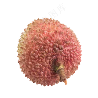 荔枝单个,免抠元素