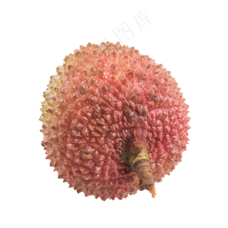 荔枝单个,免抠元素