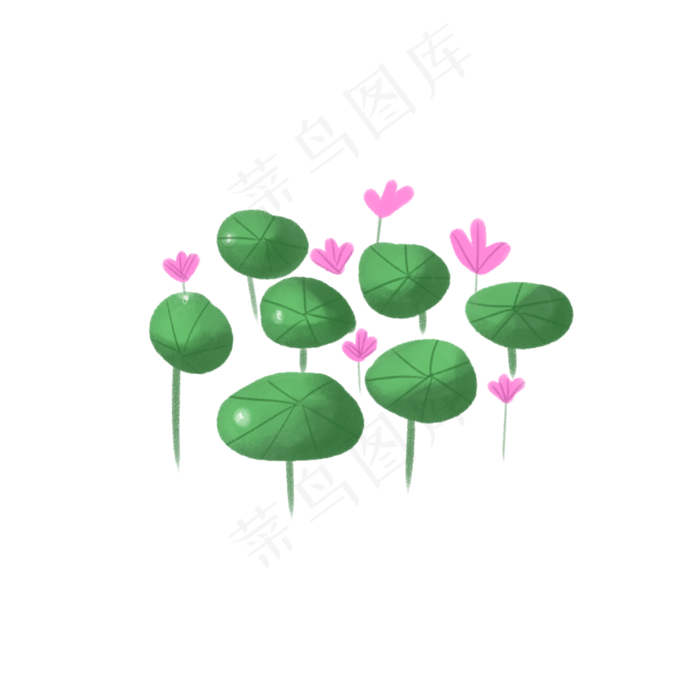 荷花池塘荷花荷叶(2100X2100(DPI:96))psd模版下载