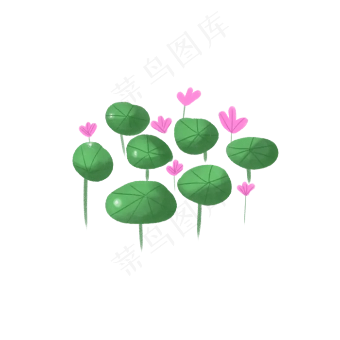 荷花池塘荷花荷叶(2100X2100(DPI:96))psd模版下载