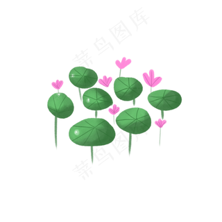 荷花池塘荷花荷叶