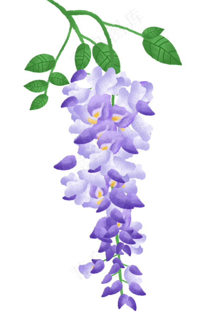 绿叶上的紫藤花