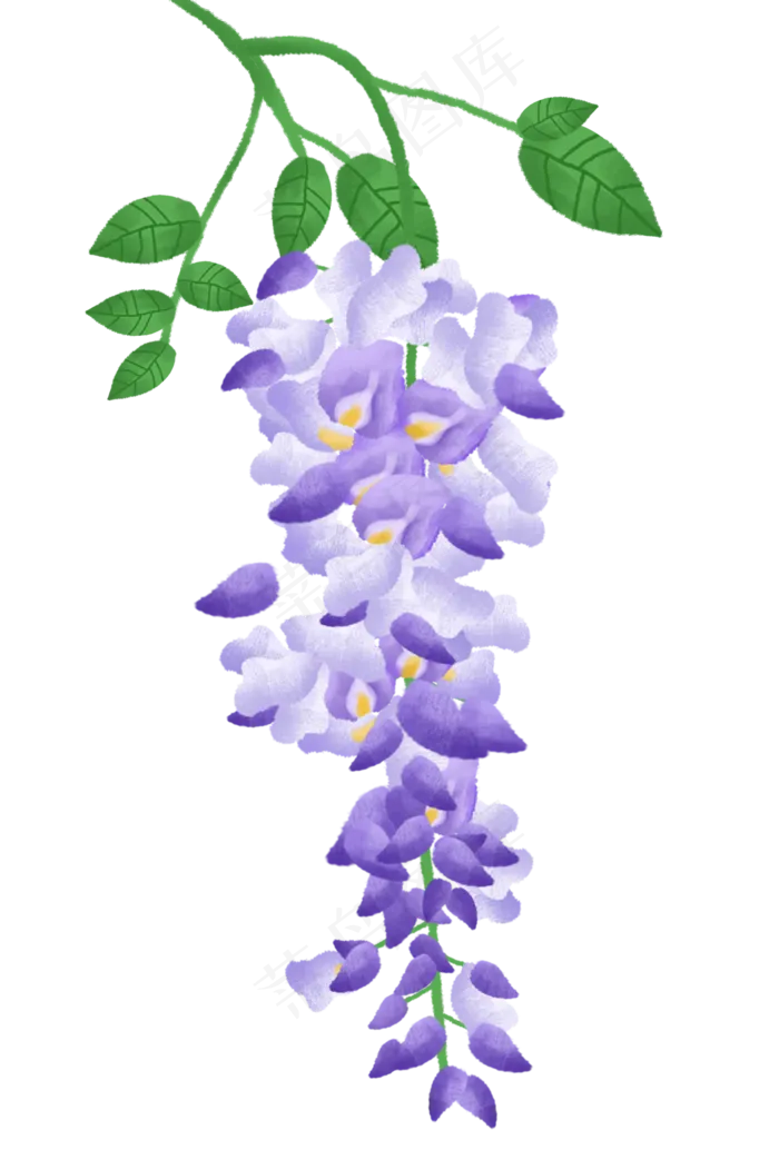 绿叶上的紫藤花(2000X2953(DPI:300))psd模版下载