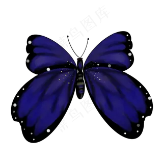 深蓝色星空梦幻蝴蝶