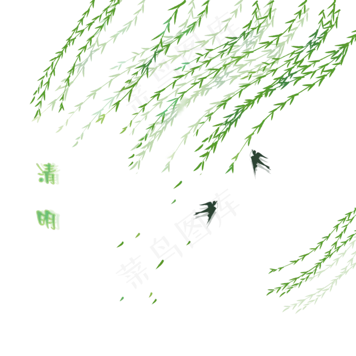 春天清明节柳树柳枝(2000X2000(DPI:300))psd模版下载