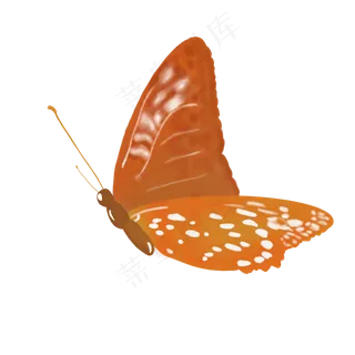 黄色枯叶蝶png图片素材