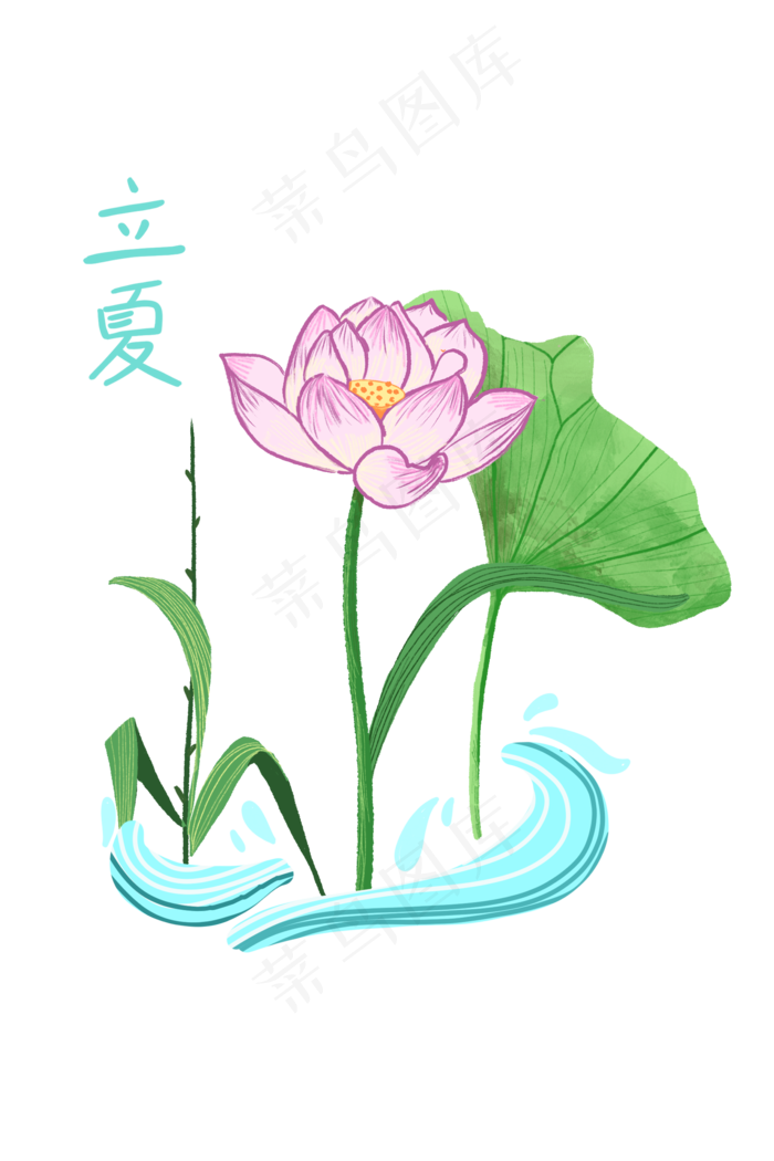 立夏国风荷花创意装饰