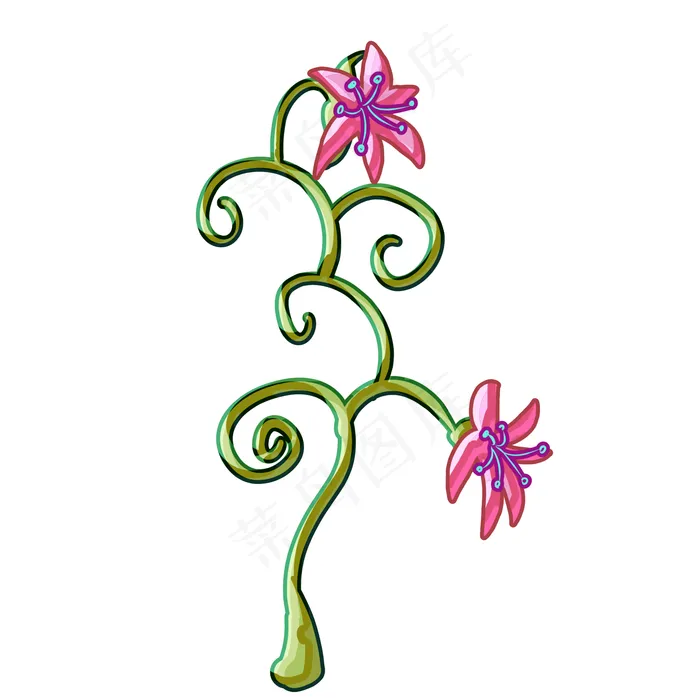 粉色牵牛花植物插图(2000X2000(DPI:300))psd模版下载