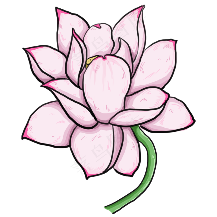 粉色手绘植物荷花元素(2000X2000(DPI:300))psd模版下载
