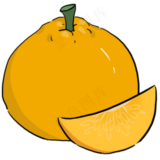 手绘水果丑橘