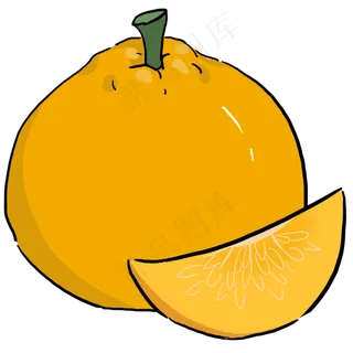 手绘水果丑橘