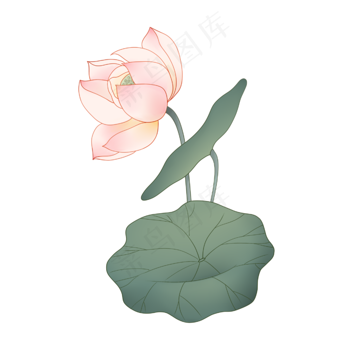 中国风清新唯美古风荷叶荷花