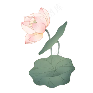 中国风清新唯美古风荷叶荷花