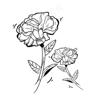 母亲节康乃馨涂鸦花朵