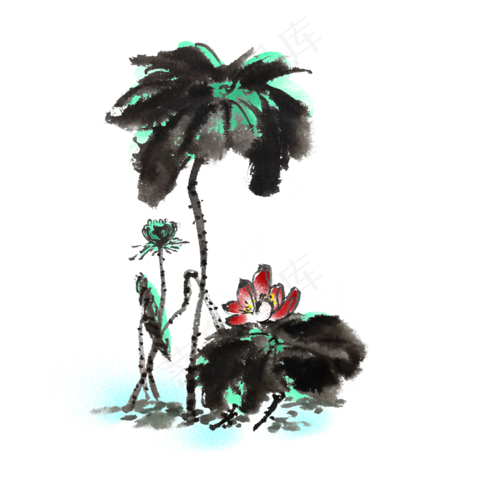 水墨风荷花荷叶手绘插画