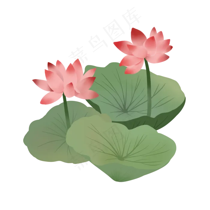  荷花荷叶莲花(2000X2000(DPI:300))psd模版下载