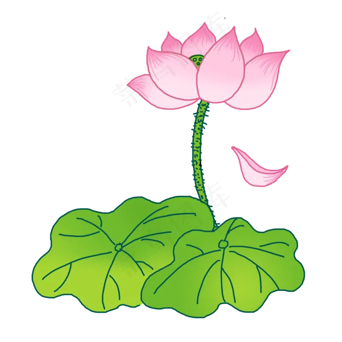 荷花夏日粉色花朵荷叶简单(2000X2000(DPI:300))psd模版下载