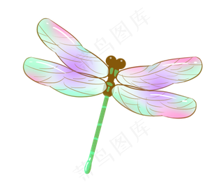 夏季夏天处暑蜻蜓