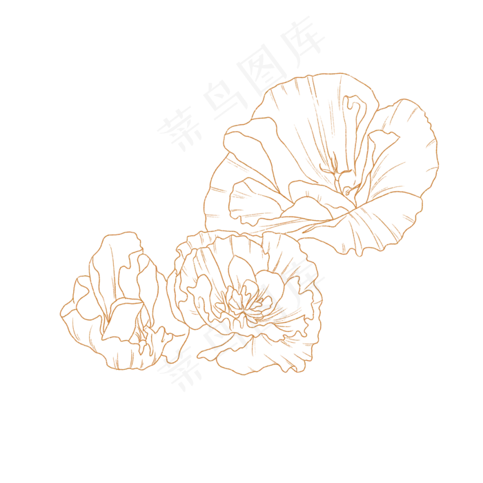 白描十二月份花卉矢量图,免抠元素(2000X2000(DPI:300))psd模版下载