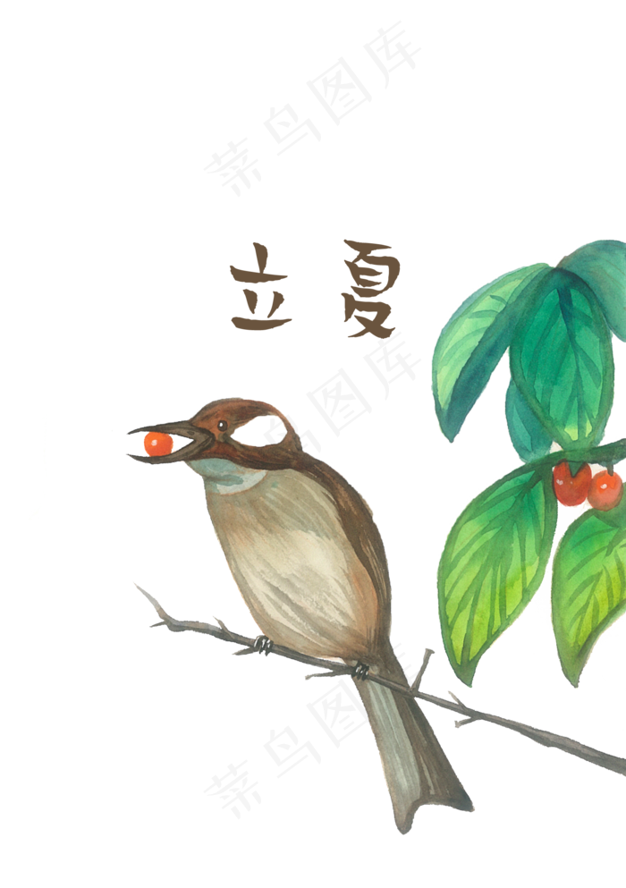 鸟雀红果植物立夏花鸟风景节气PNG,免抠元素(1748X2480(DPI:300))psd模版下载