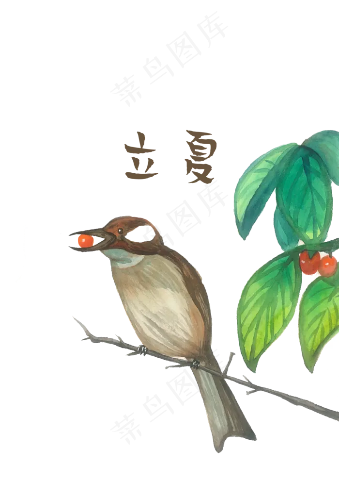 鸟雀红果植物立夏花鸟风景节气PNG,免抠元素(1748X2480(DPI:300))psd模版下载