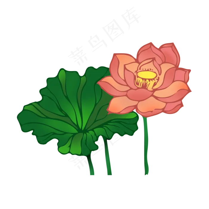 粉色荷花花枝(2000X2000(DPI:300))psd模版下载