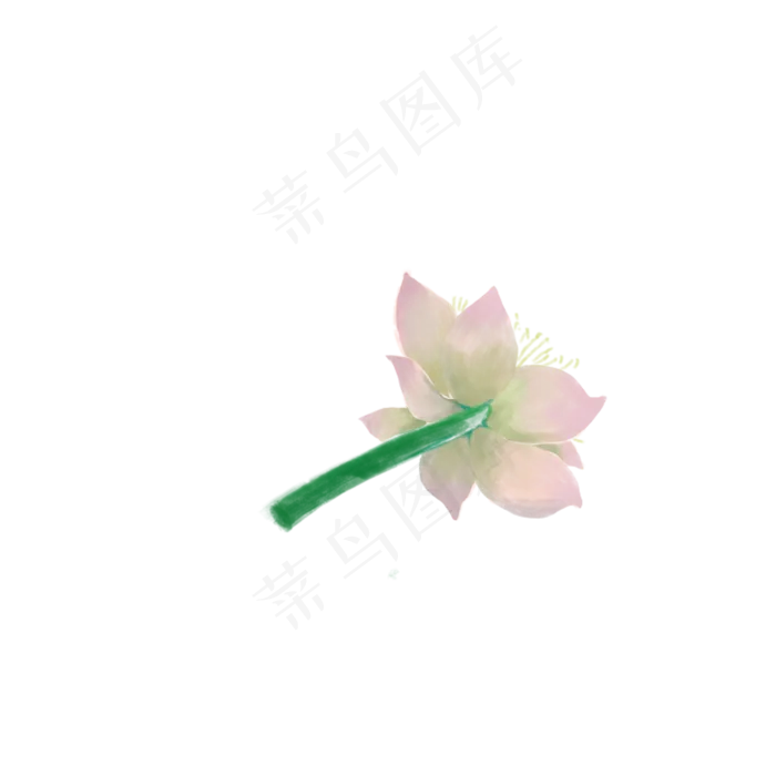 白色的花朵免抠图(2000X2000(DPI:300))psd模版下载