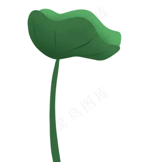 植物立夏向上卷起的绿色荷叶免抠
