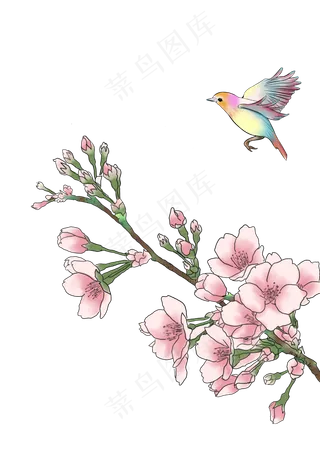 工笔画粉色的鲜花和小鸟,免抠元素