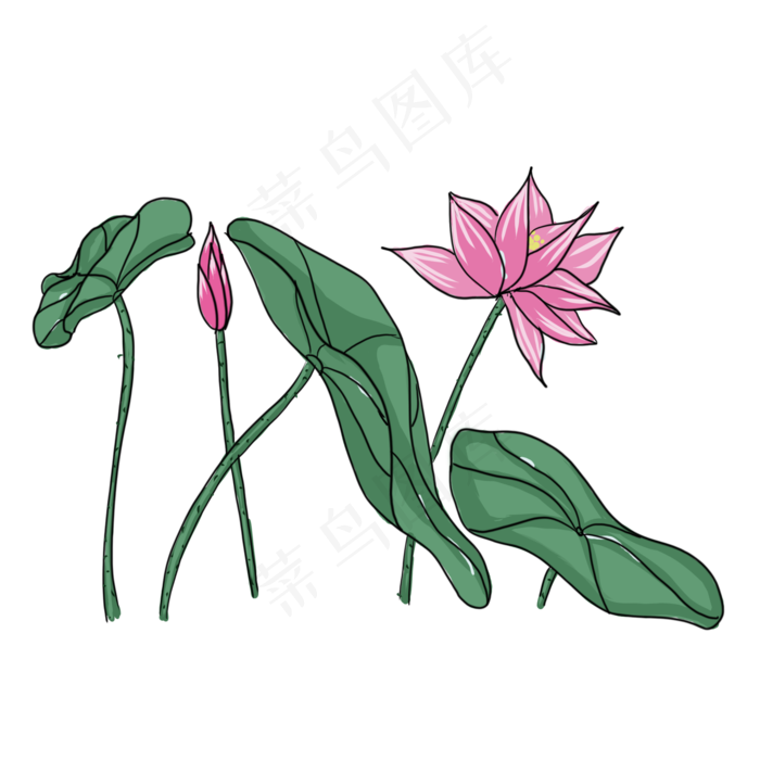 手绘中国风荷花PNG素材(2000X2000(DPI:300))psd模版下载
