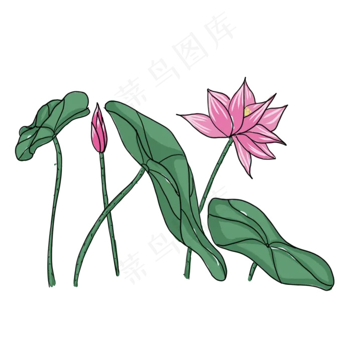 手绘中国风荷花PNG素材(2000X2000(DPI:300))psd模版下载