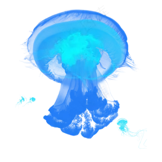 蓝色海底水母章鱼元素,免抠元素