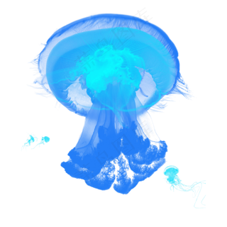 蓝色海底水母章鱼元素,免抠元素